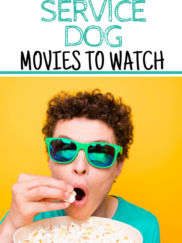 The Best Service Dog Movies to Watch