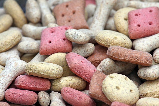 7 Healthy Treats For Your Dog