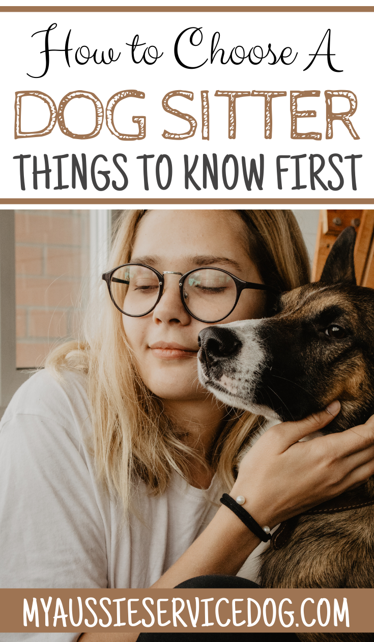 How to Choose a Dog Sitter My Aussie Service Dog