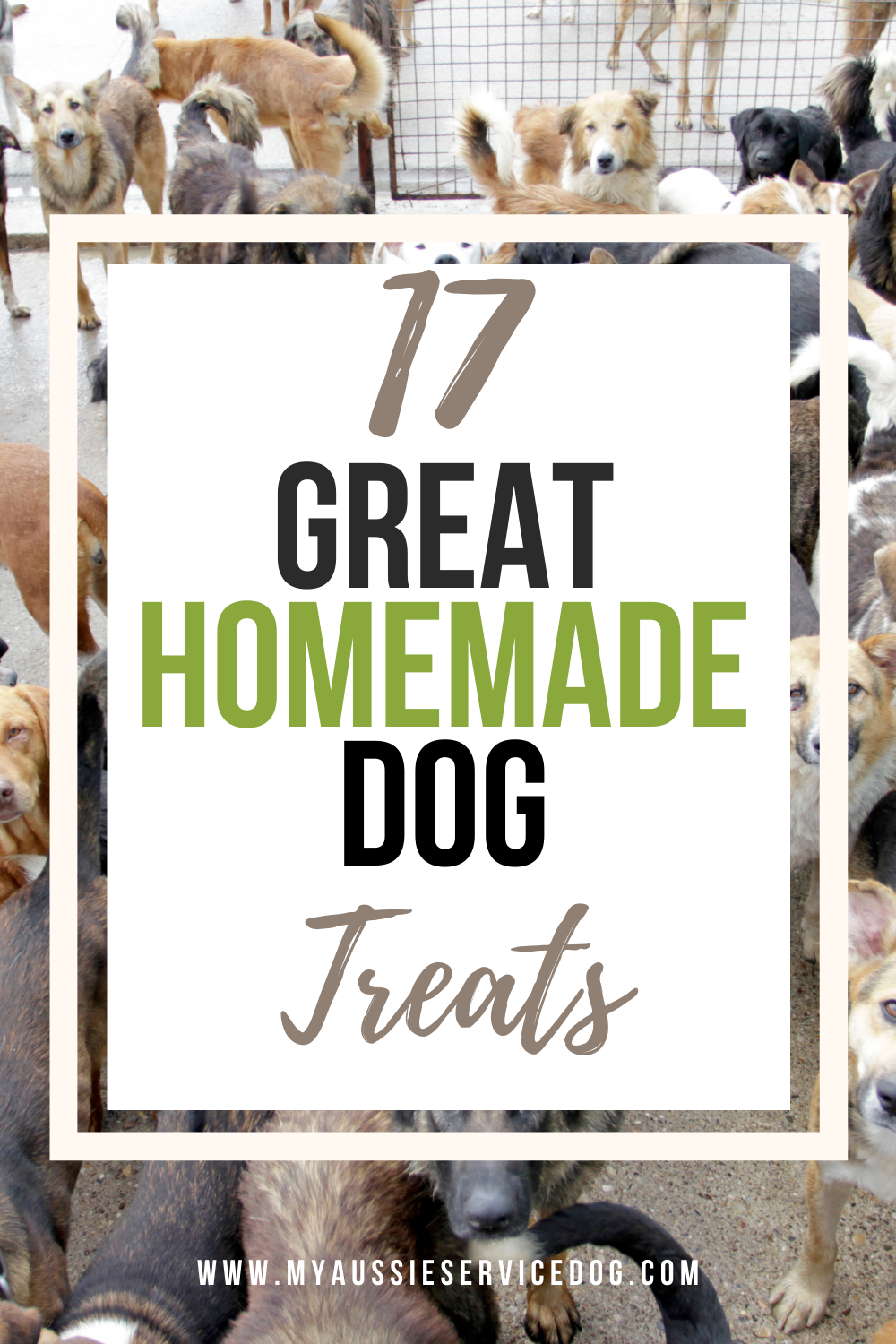 17 Great Homemade Dog Treats My Aussie Service Dog