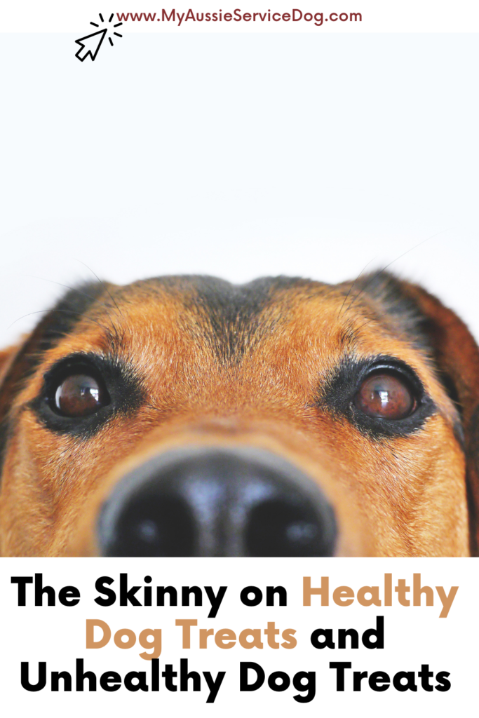 The Skinny on Healthy Dog Treats and Unhealthy Dog Treats article cover image