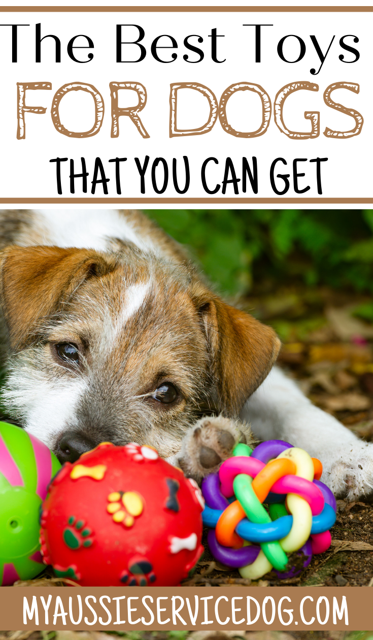 Toys For Dogs That You Can Get My Aussie Service Dog