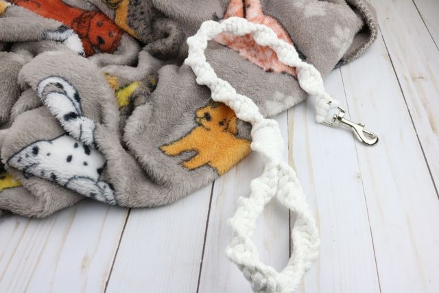 DIY Rope Leash Made From Clothesline for Your Dog
