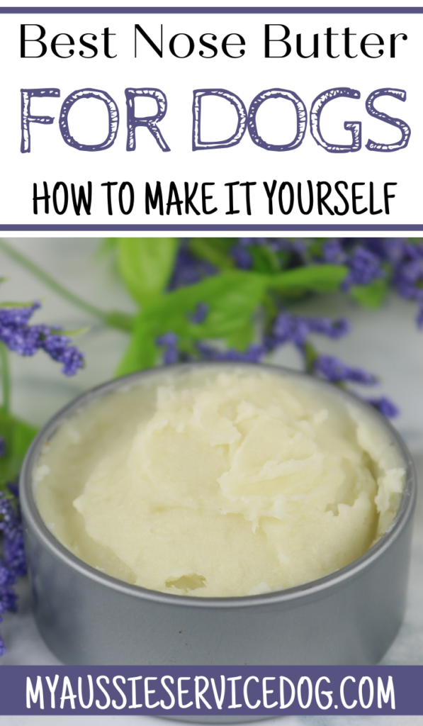 Best Nose Butter For Dogs: A DIY