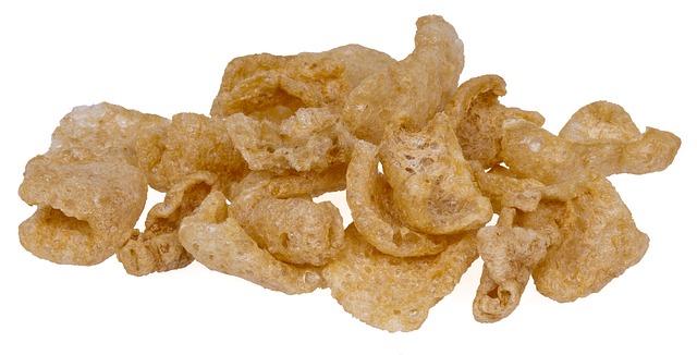 Can dogs eat pork rinds?