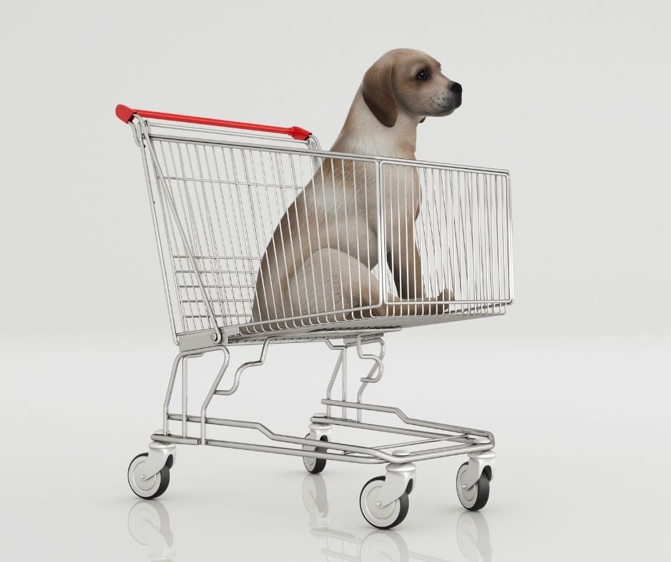 a service dog doesn't Ride inside a Shopping Cart