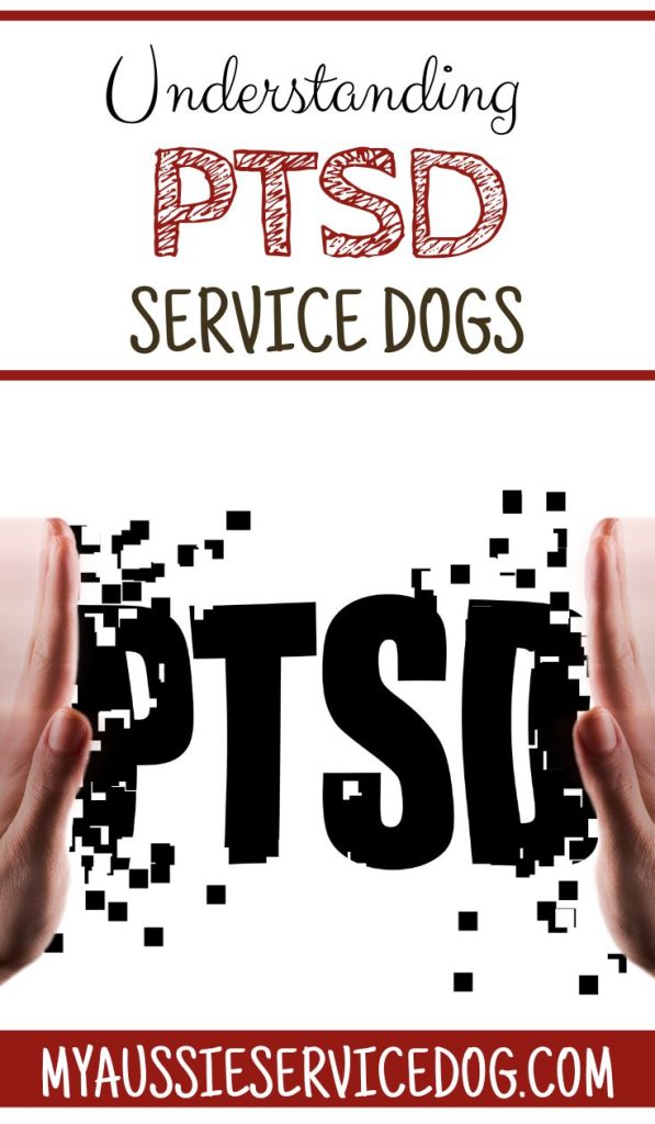 All About Service Dogs for PTSD