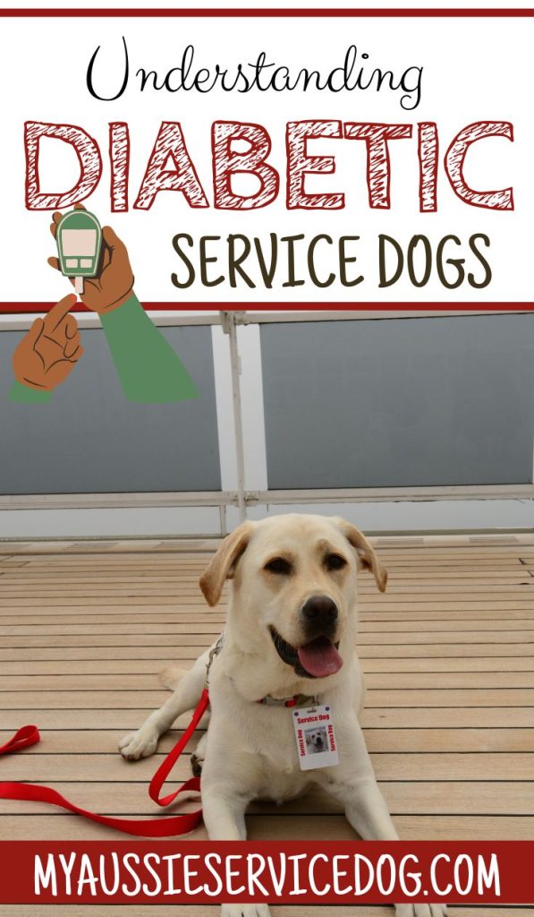 Understanding Diabetic Service Dogs and What They Do