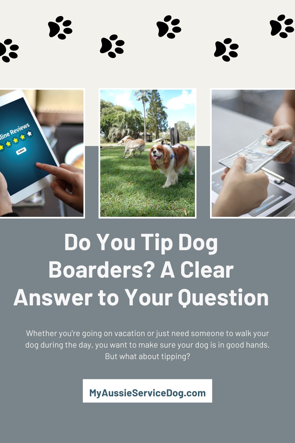 Do You Tip Dog Boarders? A Clear Answer to Your Question My Aussie