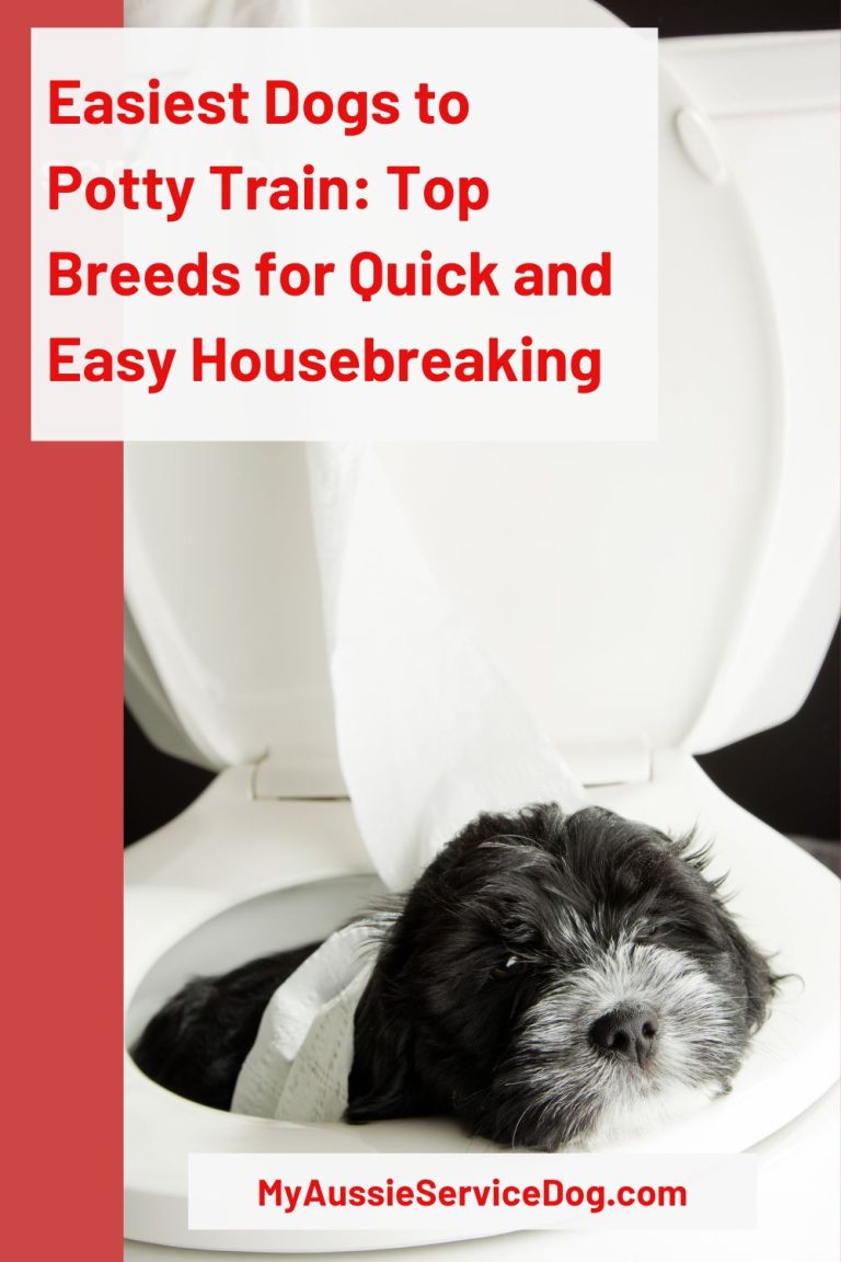 Easiest Dogs to Potty Train Top Breeds for Quick and Easy