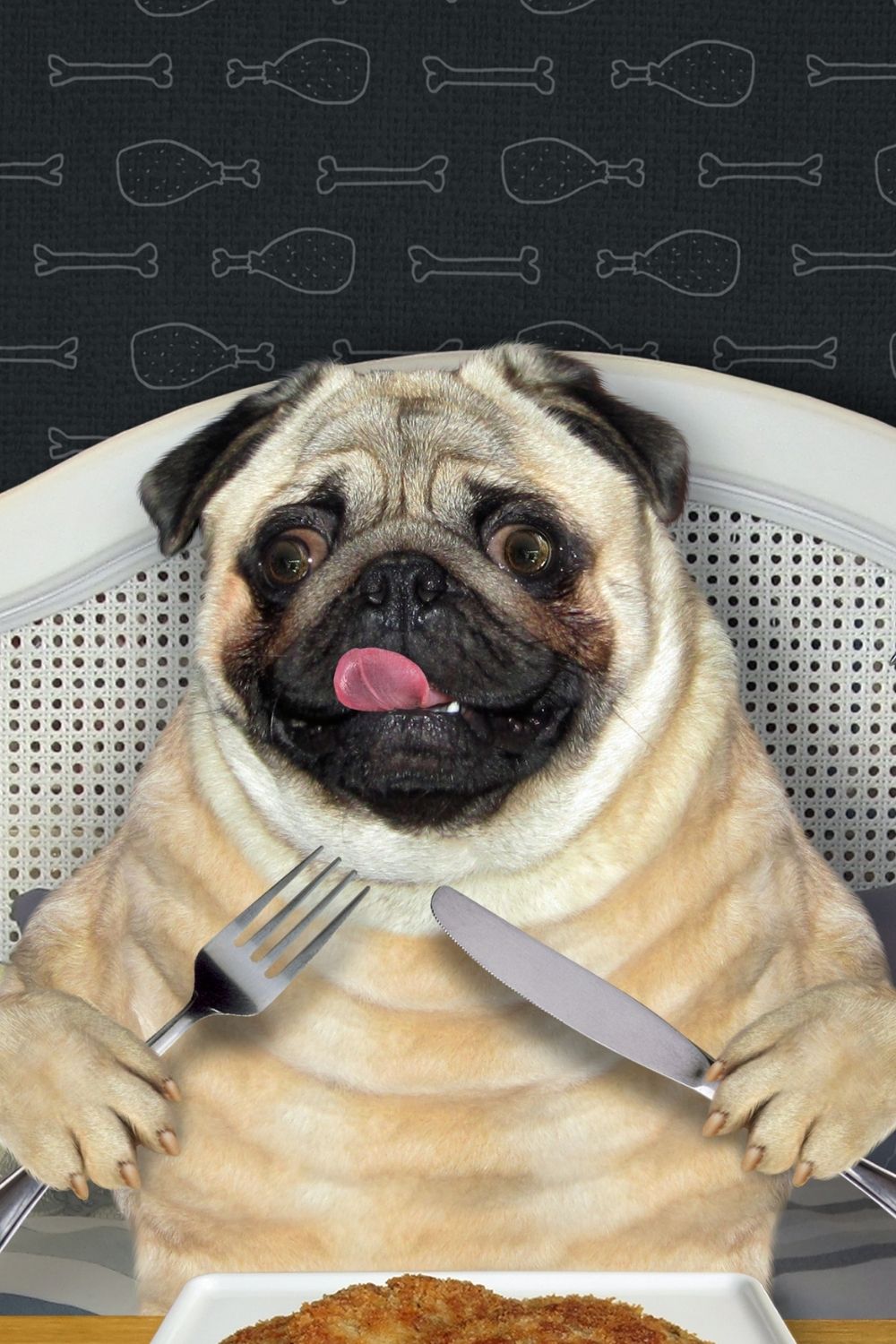 Can Dogs Eat Roast Beef? A Vet's Perspective My Aussie Service Dog