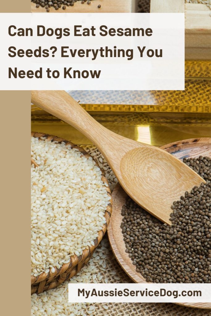 Can Dogs Eat Sesame Seeds? Everything You Need to Know Cover Image
