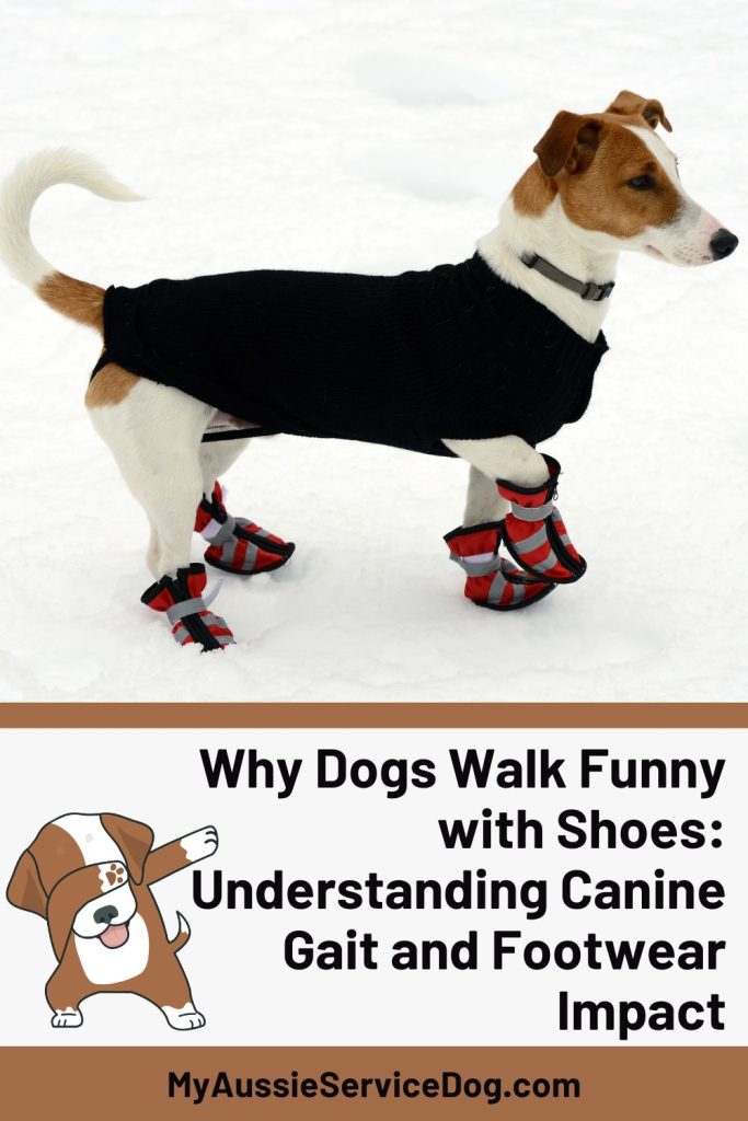 Why Dogs Walk Funny with Shoes: Understanding Canine Gait and Footwear Impact Cover Image