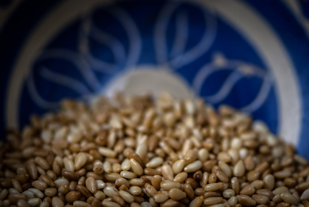 Can Dogs Eat Sesame Seeds? Everything You Need to Know Can Dogs Eat Sesame Seeds? Everything You Need to Know