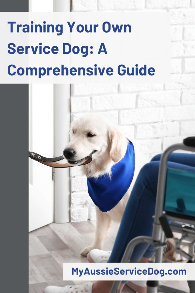 Training Your Own Service Dog: A Comprehensive Guide Cover Image