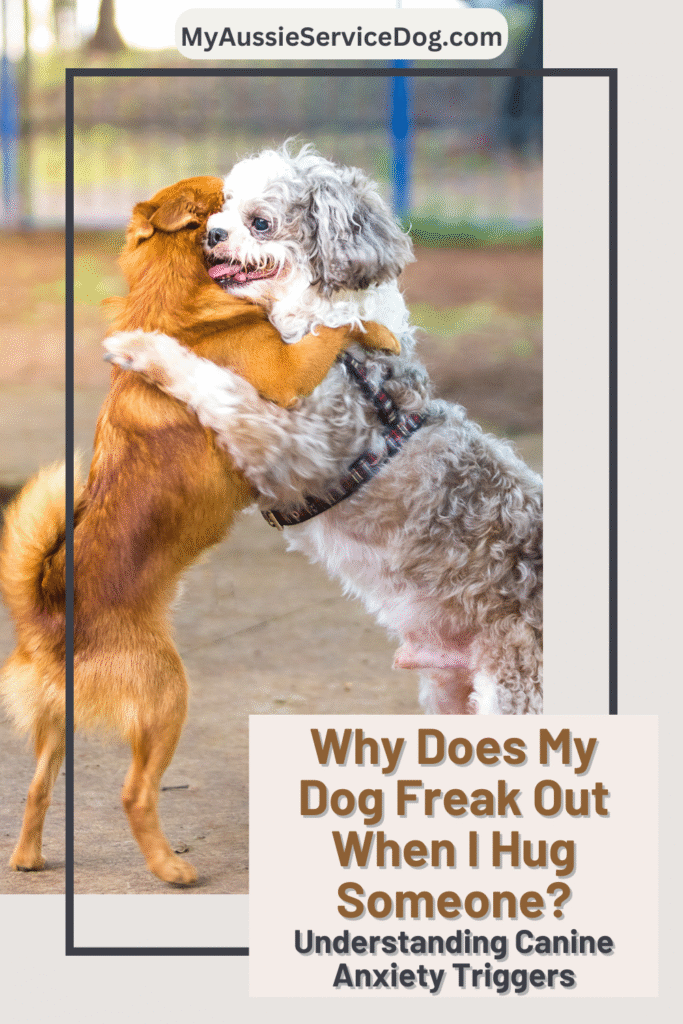 Why Does My Dog Freak Out When I Hug Someone Cover Image