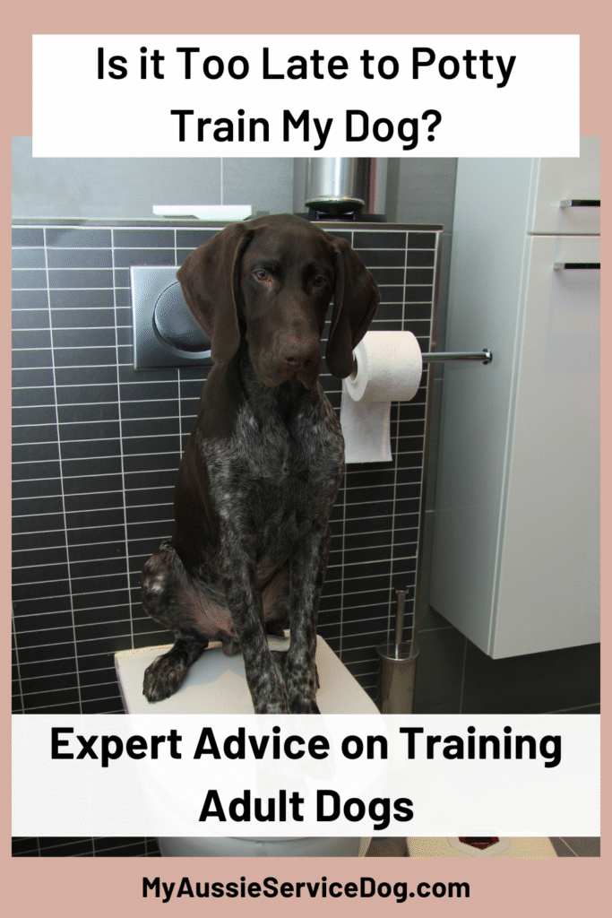 Is It Too Late To Potty Train My Dog Cover Image