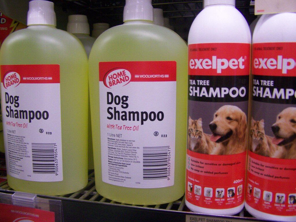 Best Dog Shampoo For An Australian Shepherd: Gentle, Coat-Boosting Picks You’ll Love avoid scented pet shampoo
