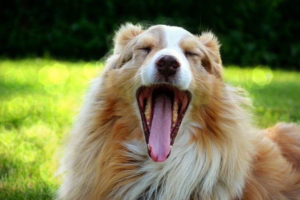 look for products that strength the hair and reduce dryness