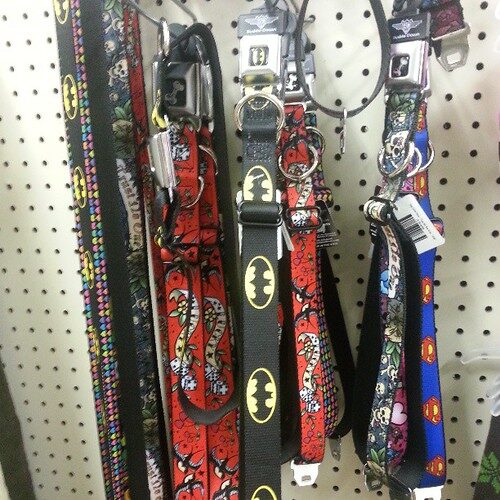 buy a collar based on the size of your pets neck