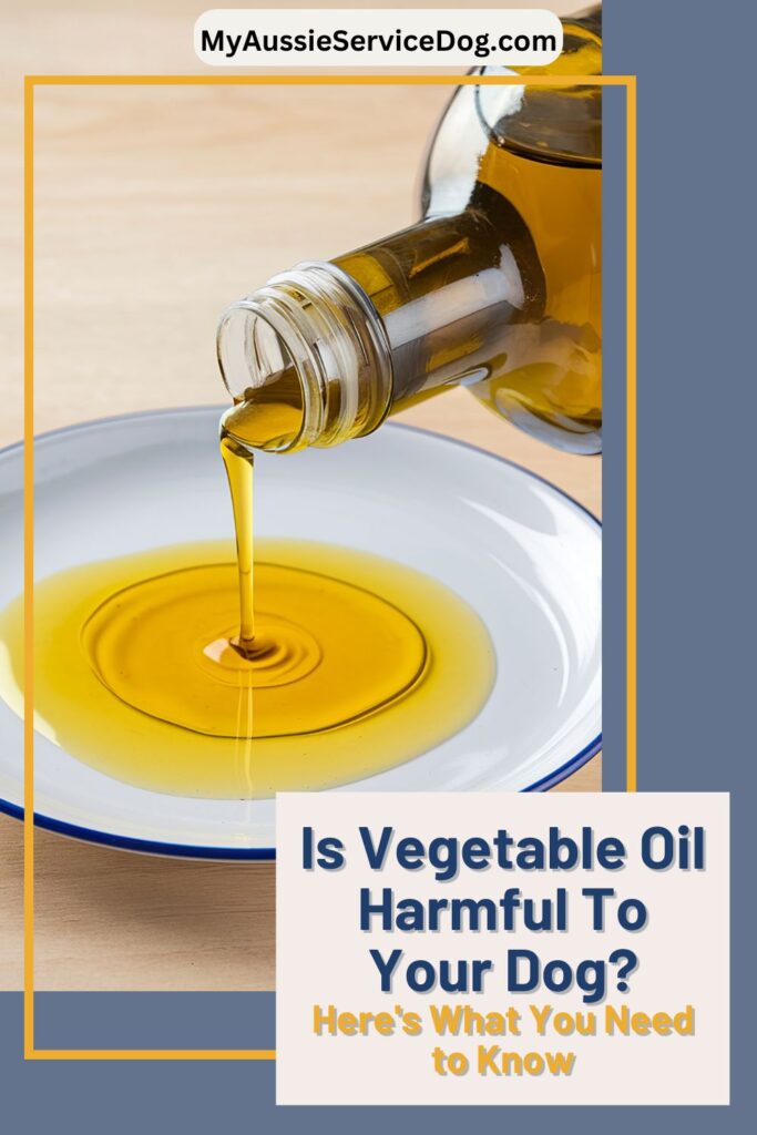 Is Vegetable Oil Harmful To Your Dog? Here's What You Need to Know Cover Image