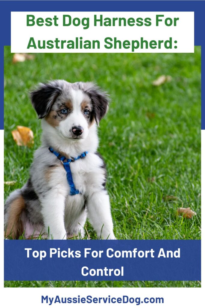 Best Dog Harness For Australian Shepherd: Top Picks For Comfort And Control Cover Image