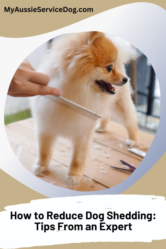 How to Reduce Dog Shedding: Tips From an Expert Cover Image
