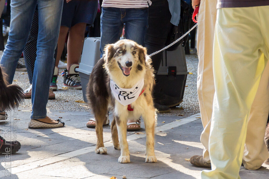 stay consistent with the harness and rules