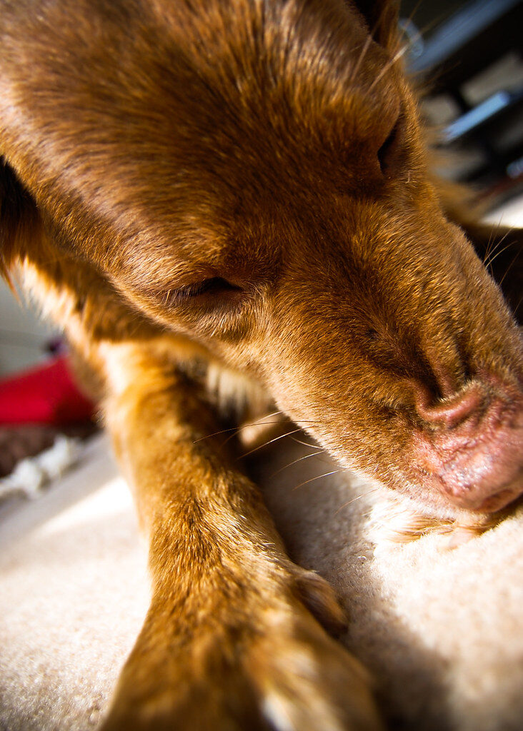 allergic reactions can include itching, swelling or trouble breathing