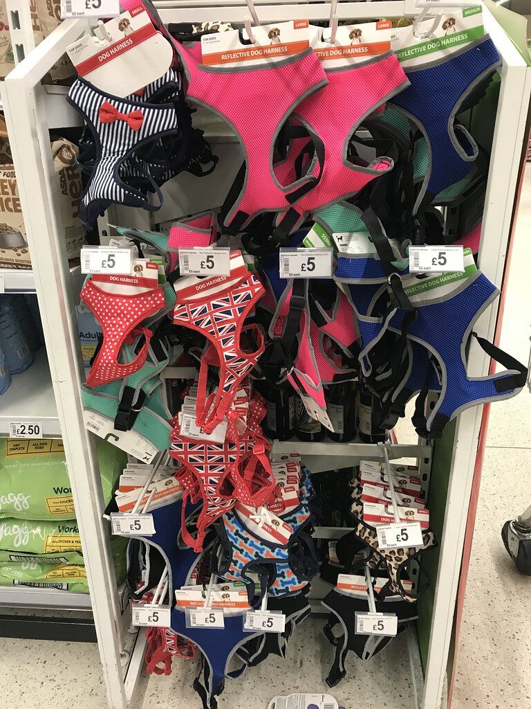 choose a harness with padded chest panel