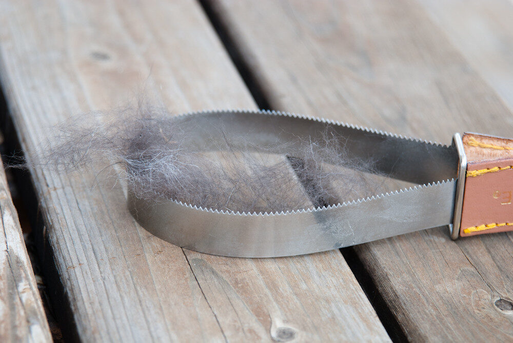 How to Reduce Dog Shedding: Tips From an Expert